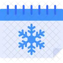Winter Calendar  Icon