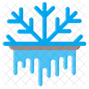 Winter  Icon