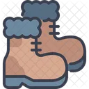 Winter Boots Footwear Icon