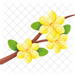 Winter jasmine  Icon