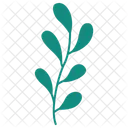 Christmas Branch Berry Icon