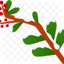 Winter Plant Tree Icon