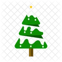 Winter Tree Christmas Tree Evergreen Tree Icon