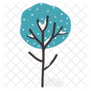 Winter Tree Spruce Tree Icon