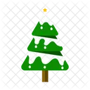 Winterbaum Weihnachtsbaum Immergruner Baum Symbol