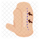 Wirbelsäule  Symbol