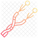 Wire Joint  Icon
