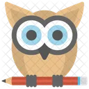 Wisdom Owl Pencil Icon