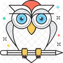 Owl Wisdom Sage Icon