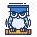 Wisdom Owl Scroll Icon