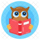 Knowledge Wisdom Education Wisdom Owl Icon