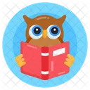 Knowledge Wisdom Education Wisdom Owl Icône