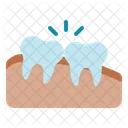 Tooth Dental Dentist Icon