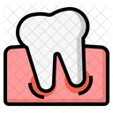 Wisdom tooth  Icon