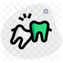 Wisdom Tooth  Icon