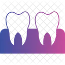 Wisdom Tooth Icon