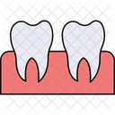 Wisdom tooth  Icon