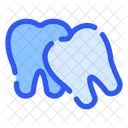Wisdom Tooth Problem Disease Icon