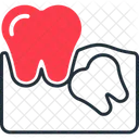 Wisdom tooth  Icon