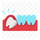 Wisdom tooth  Icon