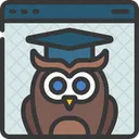 Wise Owl Online Icon