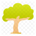 Wise Tree  Icon