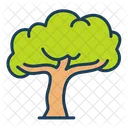 Wise Tree  Icon
