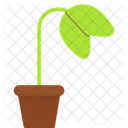 Plant Nature Garden Icon