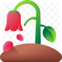 Withered Plant Nature Icon