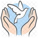 Hande Hoffnung Taube Symbol