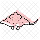 Wobbegong Shark Ocean Icon