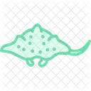 Wobbegong Shark Ocean Icon