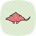 Wobbegong Shark Ocean Icon