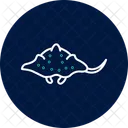 Wobbegong Shark Ocean Icon