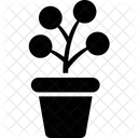 Zuhause Dekor Topfpflanzen Symbol