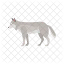 Wolf Grau Stehend Symbol