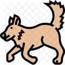 Wolf Carnivore Predator Icon