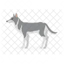 Wolf Dog Grey Icon