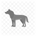 Wolf Animal Wild Icon