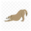 Wolf Werwolf Tier Symbol