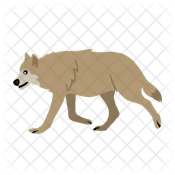 Wolf  Icon
