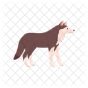 Cute Wolf Tundra Icon