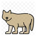 Wolf Fuchs Tierwelt Symbol