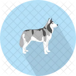 Wolf  Icon