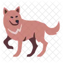 Wolf Hund Tier Symbol