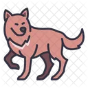 Wolf Hund Tier Symbol