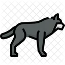 Wolf  Symbol