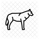 Wolf  Symbol