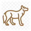 Wolf  Symbol