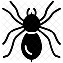 Wolf Spider Insect Arachnid Icon